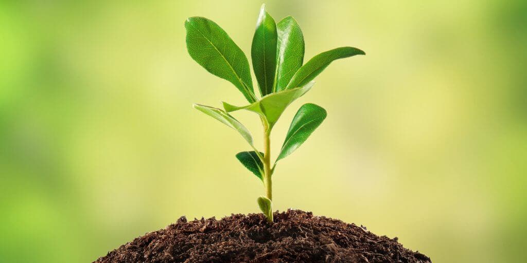 Hero section demo image showing interface components